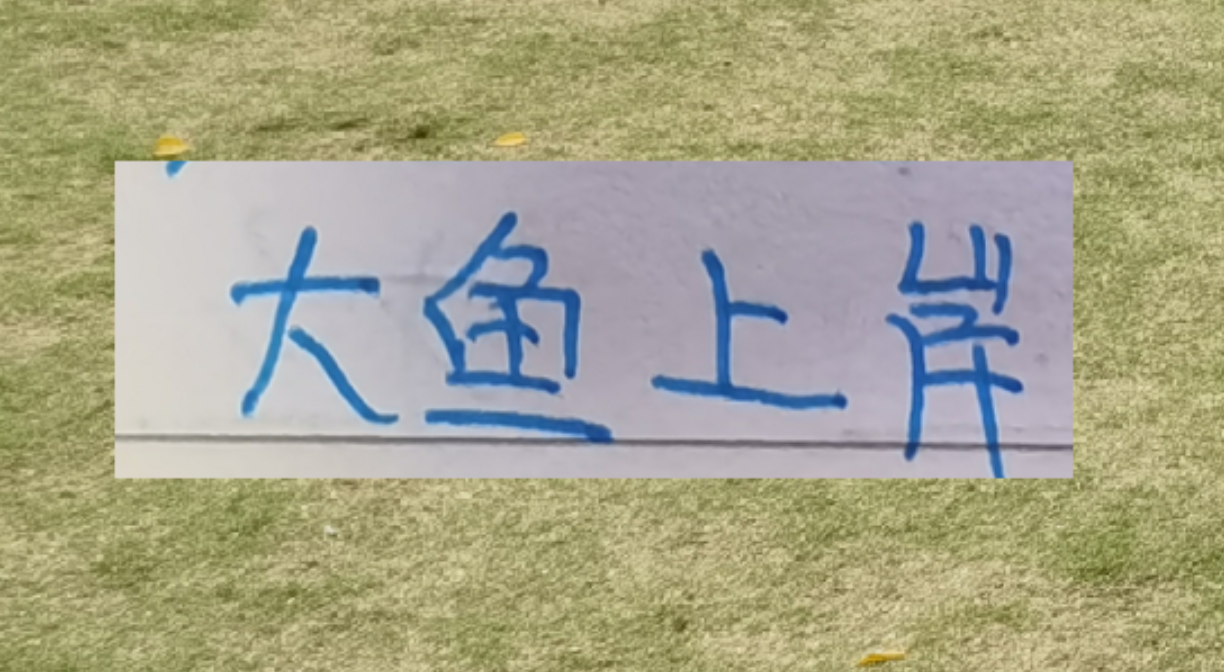 星空.综合体育官网-海港本土大鱼上岸了！新赛季前2轮转正不在话下吗？